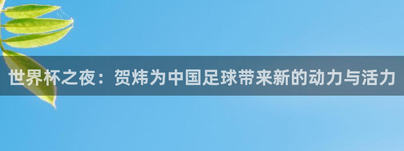 2026世界杯赛制：世界杯之夜：贺炜为中国足球带来新的动力与活力