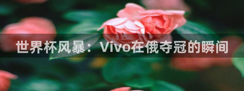 欧洲世界杯预选赛赛程：世界杯风暴：Vivo在俄夺冠的瞬间