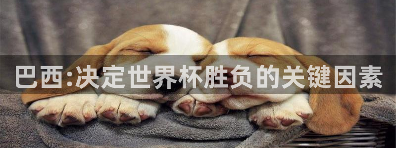 女足世界杯直播在线观看免费高清：巴西:决定世界杯胜负的关键因素