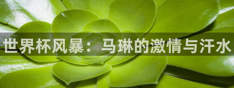 世界杯赛程表2026：世界杯风暴：马琳的激情与汗水