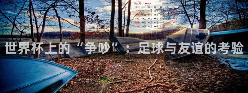 英格兰联赛杯直播：世界杯上的“争吵”：足球与友谊的考验