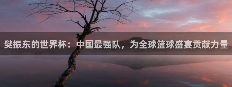 世界杯预选赛欧洲赛区赛程：樊振东的世界杯：中国最强队，为全球篮球盛宴贡献力量