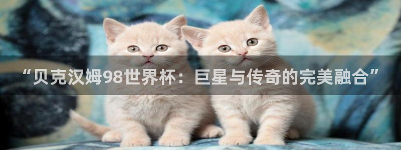 世界杯葡萄牙赛程：“贝克汉姆98世界杯：巨星与传奇的完美融合”