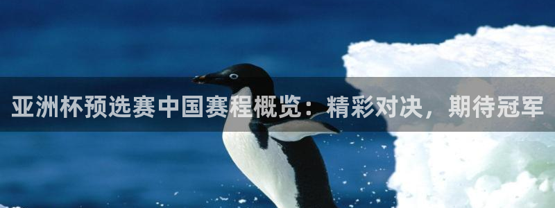 2006世界杯：亚洲杯预选赛中国赛程概览：精彩对决，期待冠军