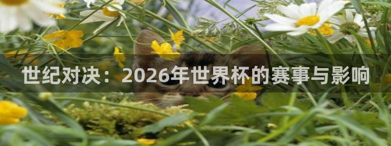 2026世界杯亚洲预选赛：世纪对决：2026年世界杯的赛事与影响