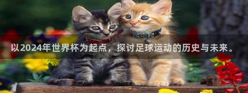 世界杯亚洲区预选赛：以2024年世界杯为起点，探讨足球运动的历史与未来。