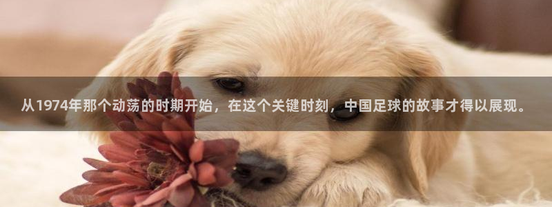 澳门世界杯直播：从1974年那个动荡的时期开始，在这个关键时刻，中国足球的故事才得以展现。