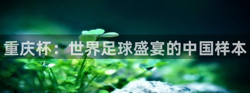 欧洲区世界杯预选赛：重庆杯：世界足球盛宴的中国样本
