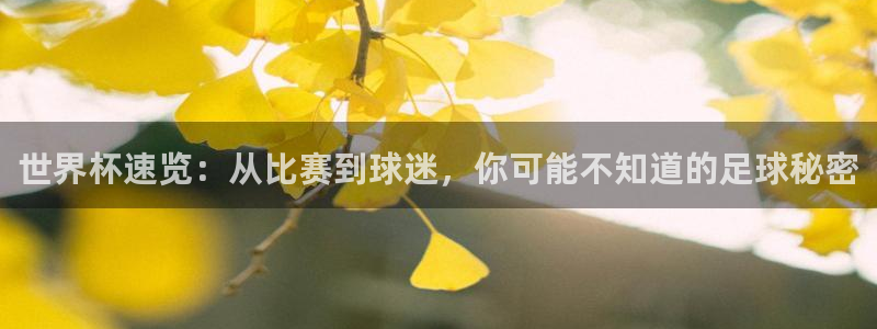 世界杯赛程时间表：世界杯速览：从比赛到球迷，你可能不知道的足球秘密